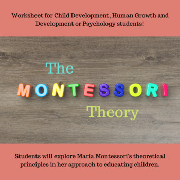 Maria Montessori Theory Stages