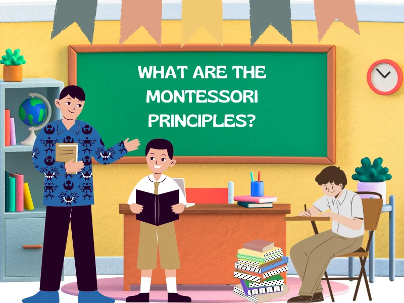 What Are the Montessori Principles?